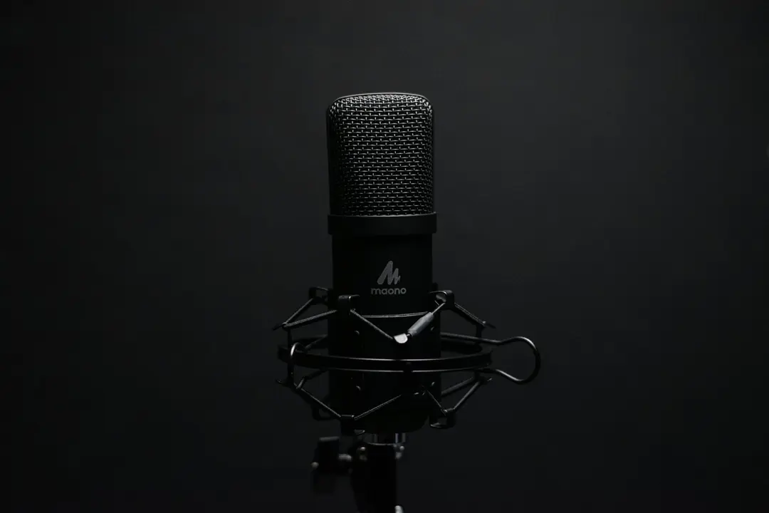 Wat bepaalt de prijs van een dubbing voice-over?