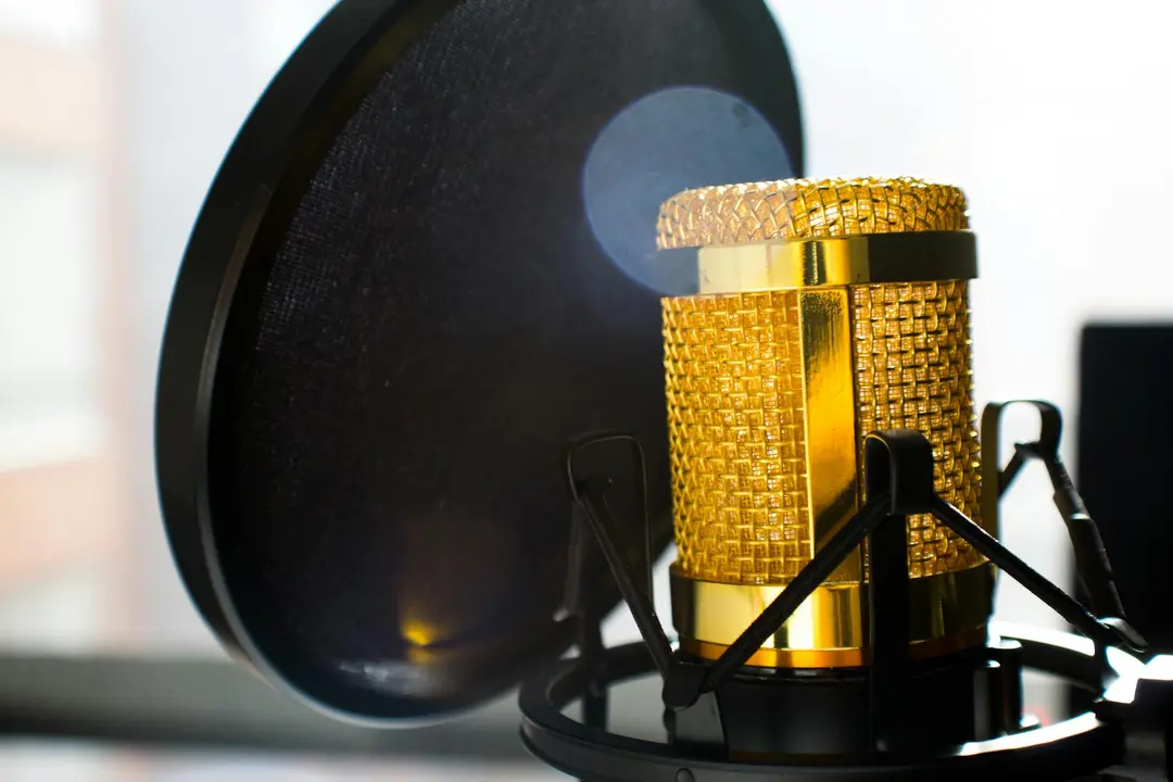 All about voice-overs